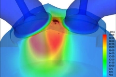 Internal Temperature 