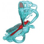simulation_data_management_dragonfly
