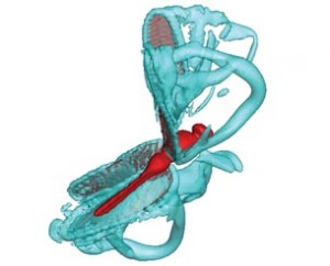 simulation_data_management_dragonfly
