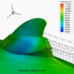 CFD Simulation Dolphin