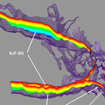 Transect Selection