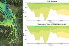 Puget Sound Transect - Salinity